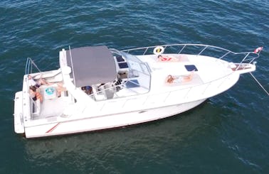 Fully Equipped 38' Bertram Cruiser Yacht  Ready for your Toronto waterfront cruise.