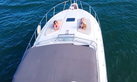 Fully Equipped 38' Bertram Cruiser Yacht  Ready for your Toronto waterfront cruise.