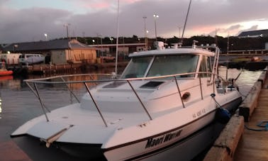 Fishing Charter 26 foot Glacier Bay in Lihue. Hawaii