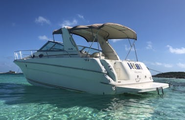 4-Hours Private Wildlife Tour Onboard 31' Searay Sundancer Motor Yacht In Nassau, The Bahamas