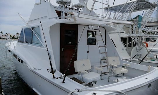 Excursions de pêche à Cancún (bateau de sport de 38 minutes)