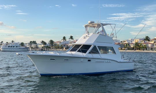 Excursiones de pesca en Cancún, barco deportivo de 38 pies