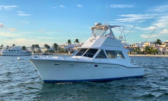 Enjoy Sightseeing Tours and Fishing Trips in Cancún, Mexico on 38' Sport Fisherman