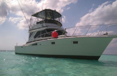 46ft Post Fishing or Trips in Family or Groups in Cancún
