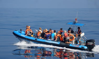 Excursion en bateau RIB et croisière d'aventure à Ponta Delgada