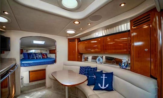Sundancer 39' Party yacht ready for adventure!  (WEEKDAY SPECIAL)