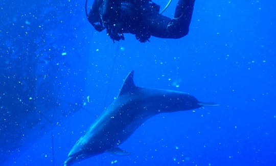 Exciting Day Cruises in Chalki, Greece