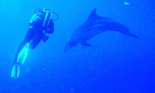 Mergulho, mergulho duplo em Chalki, Grécia