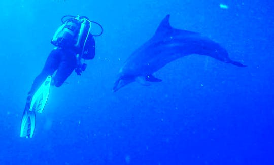 Scuba Diving, Double Dive in Chalki, Greece