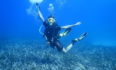 ギリシャのハルキでスキューバダイビングをお試しください