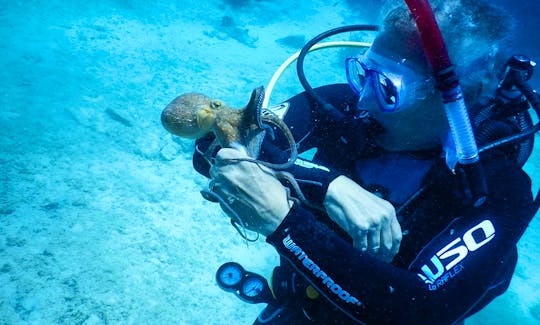 Try Scuba Diving in Chalki, Greece