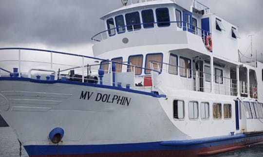 Liveaboard Boat in Puerto Galera