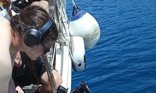 Cruzeiros emocionantes de um dia em Chalki, Grécia