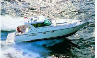 Come onboard the 45ft Tiara Sovran Motor Yacht Charter Keep'N It Reel