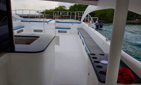 VIP Cruise to Saona-La Palmilla Island