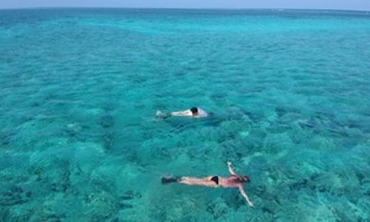 Traditional Dhow Snorkeling or Diving in Kendwa and Nungwi