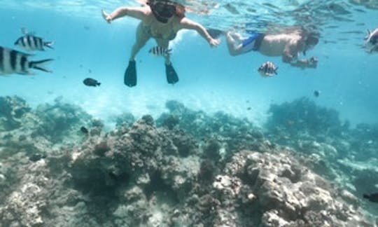 Traditional Dhow Snorkeling or Diving in Kendwa and Nungwi