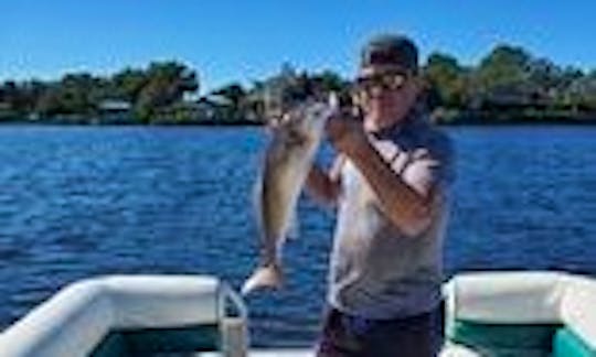 Pontoon Boat with Captain Island Hoping, Dolphin watching, Sunsets and more in Palm Harbor