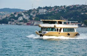 120 Person Cruise for $20 a person in İstanbul