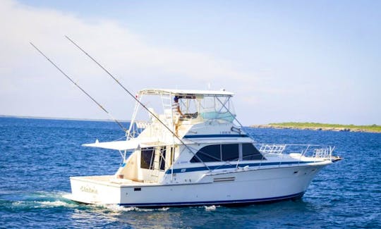 47ft Elaine Motor Yacht Charter in La Romana, Dominican Republic