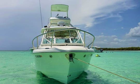 Everglades 35 Motor Yacht Rental in La Romana, Dominican Republic