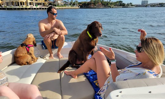 26ft Sea Ray Sundeck with Captain ONLY! FUEL INCLUDED ! Dogs welcome!