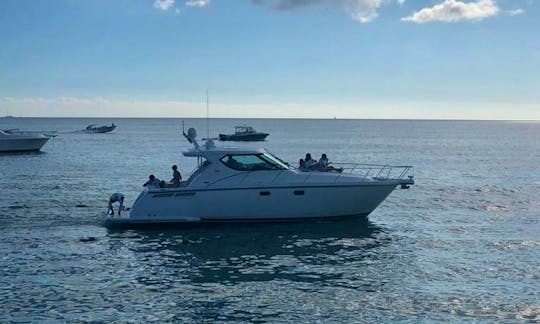 Captained Tiara 43 Motor Yacht For 12 People In La Romana