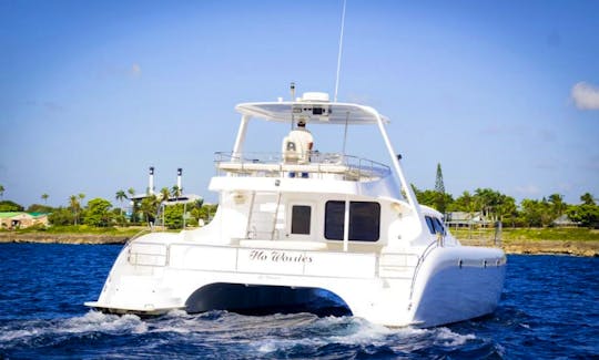 50ft No Worries Power Catamaran Rental in La Romana, Dominican Republic
