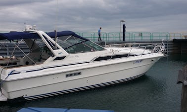 SeaRay Express Cruiser 340 Luxury Motor Yacht Searay in Chicagoland area