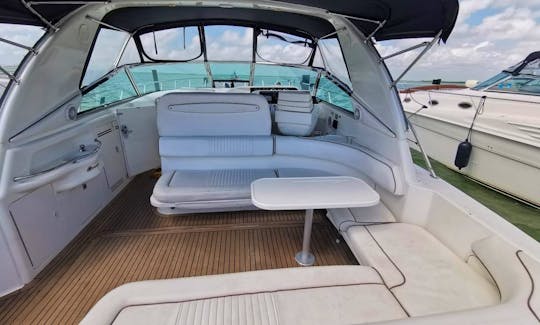 Amazing affordable SunDancer 42ft Motor Yacht min 6 hours rental in Cancún, Quintana Roo