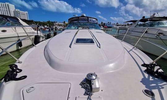 Amazing affordable SunDancer 42ft Motor Yacht min 6 hours rental in Cancún, Quintana Roo