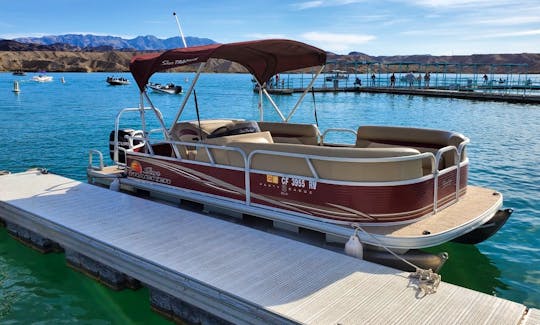 Awesome Sun Tracker 20 DLX Party Barge- Fuel Economical