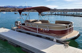 Awesome Sun Tracker 20 DLX Party Barge- Fuel Economical