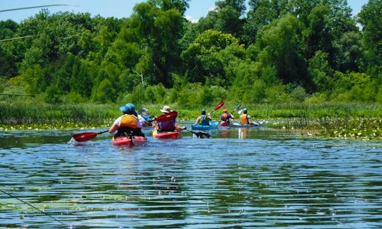 Kayaking Guided Tours on the Milwaukee river and surrounding bodies of water