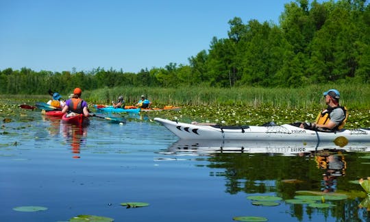 Kayaking Guided Tours on the Milwaukee river and surrounding bodies of water
