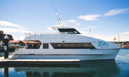 Catamarã RDM de 50 pés em Hobart