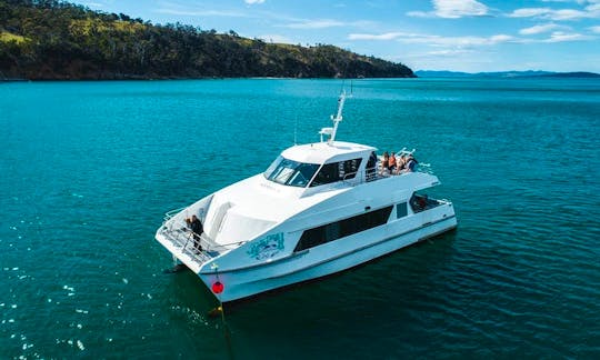 Charter 50' RDM Catamaran in Hobart