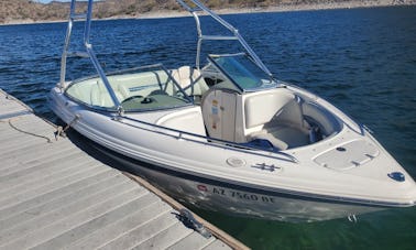 Chaparral Rental Boat on Lake Pleasant!