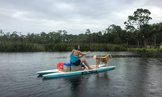 Paddle board Safety Harbor with Live Watersports Catamarans