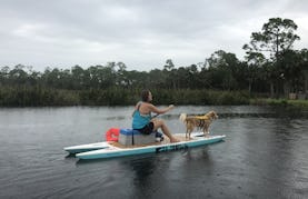 Paddle board Safety Harbor with Live Watersports Catamarans