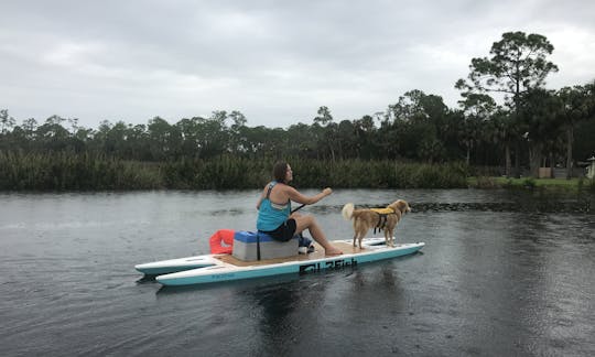 Paddle Board Pinellas Live Watersports Sup L2Fish LX