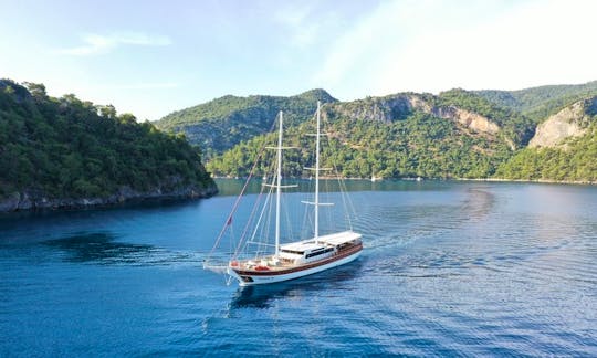 Platin Yachting - Luxury Gulet 10 Cabins 39 m in Turkey