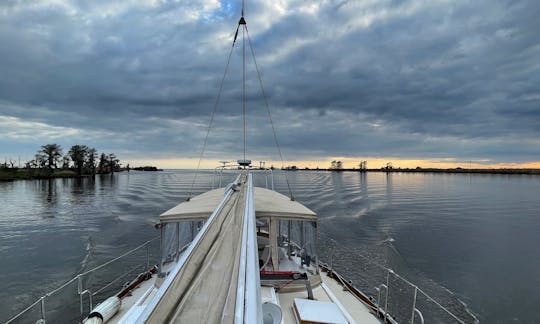 View on the river