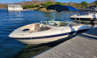 Fast and Fun Sea Ray 19' Powerboat in Arizona