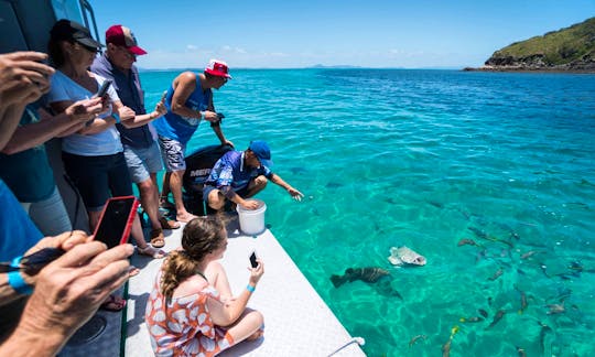 Great Keppel Island Combo Tour