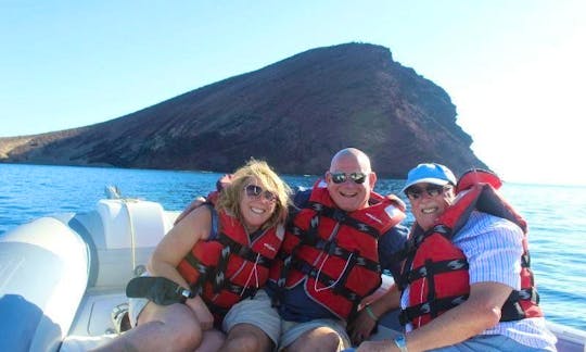 Private Zodiac Boat Tour In Tenerife!