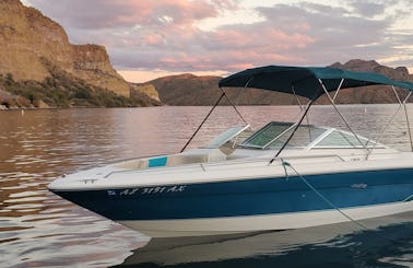 Awesome Sea Ray 23' Powerboat with Watersports Extras in Tempe