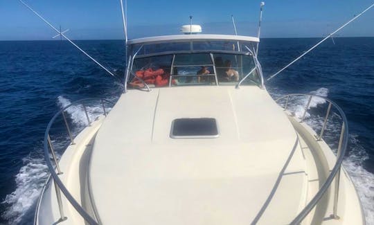 33 feet Motor Boat charter Day cruise