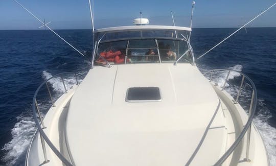 33 feet Motor Boat charter Day cruise