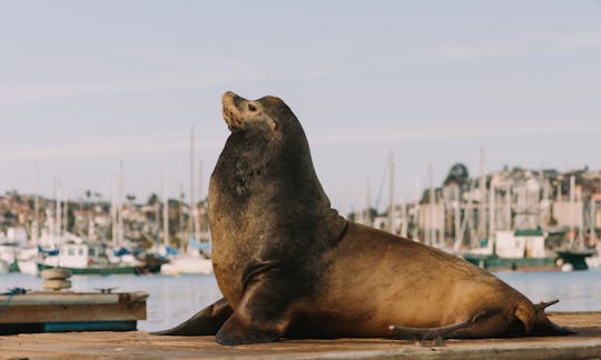 Outdoor family activity in San Diego